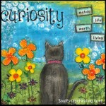 Curiosity